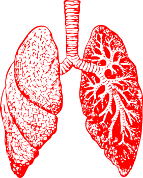 臨床診断による初期ステージの肺がんは、過剰治療と関連する可能性（ELCC2016ニュース）／欧州臨床腫瘍学会（ESMO）<br>～海外癌医療情報リファレンンス～