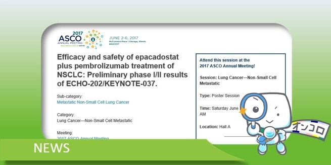 IDO1阻害薬epacadostatとキイトルーダを併用する新しいがん免疫療法、PD-L1発現レベルによらず非小細胞肺がんに奏効　ASCO2017