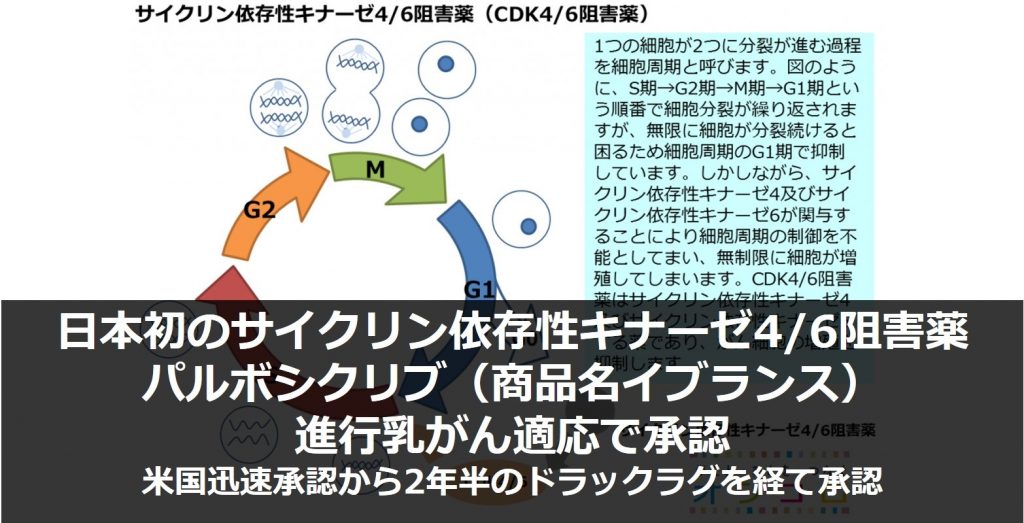 日本初のサイクリン依存性キナーゼ4/6（CDK4/6）阻害薬イブランスが、進行乳がん適応で承認