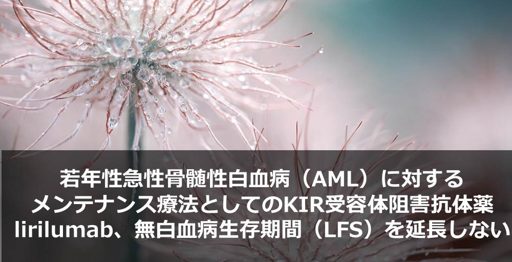若年性急性骨髄性白血病（AML）に対するメンテナンス療法としてのKIR受容体阻害抗体薬lirilumab、無白血病生存期間（LFS）を延長しない