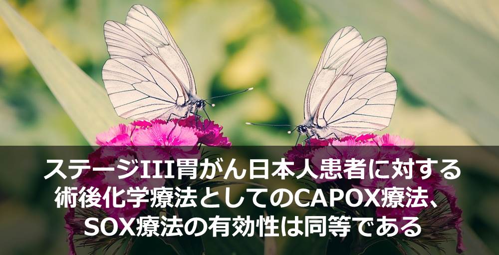 ステージIII胃がん日本人患者に対する術後化学療法としてのCAPOX療法、SOX療法の有効性は同等である
