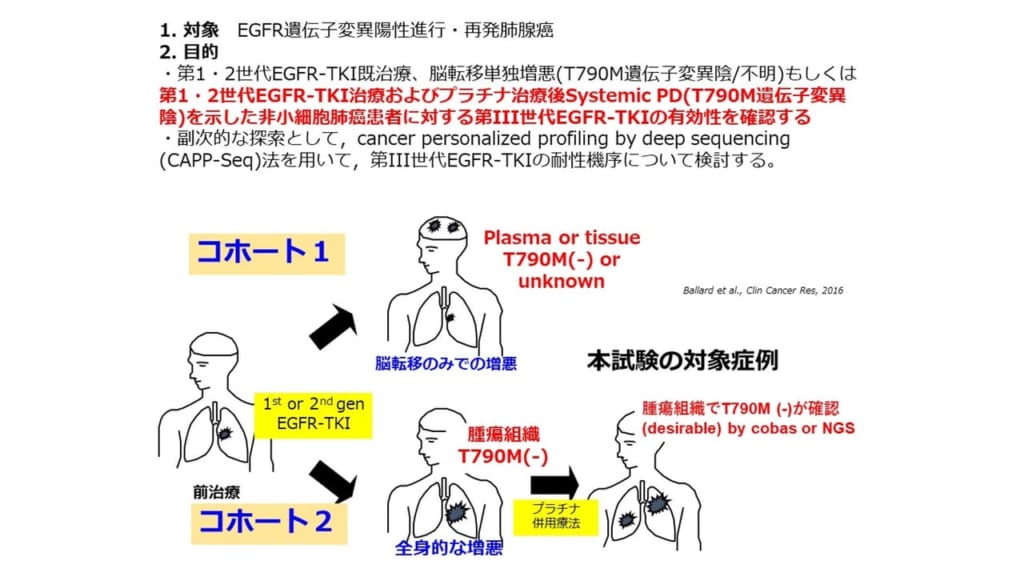 患者会の発案で実現する日本初の治験実現へ～肺がん治療の”狭間問題”へのチャレンジへの協力のお願い～