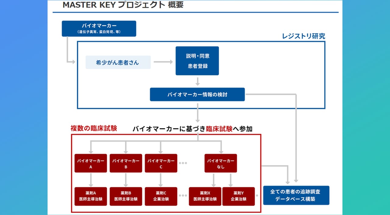 KSY 【ガイポップスリム200】希少海王 - ルアー用品